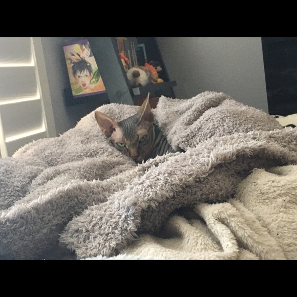 OUR CLOSET RULES - Picture 9 of 9